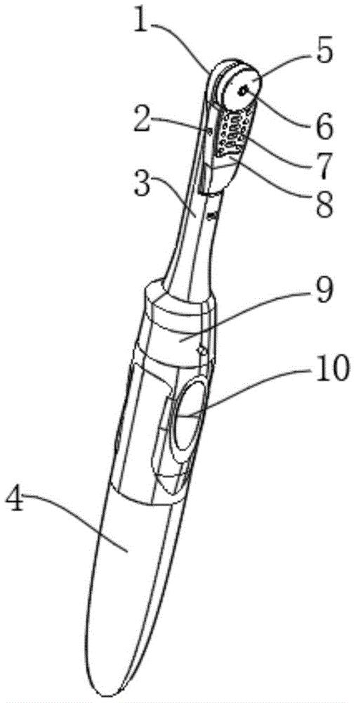 一种儿科口腔专用检查器