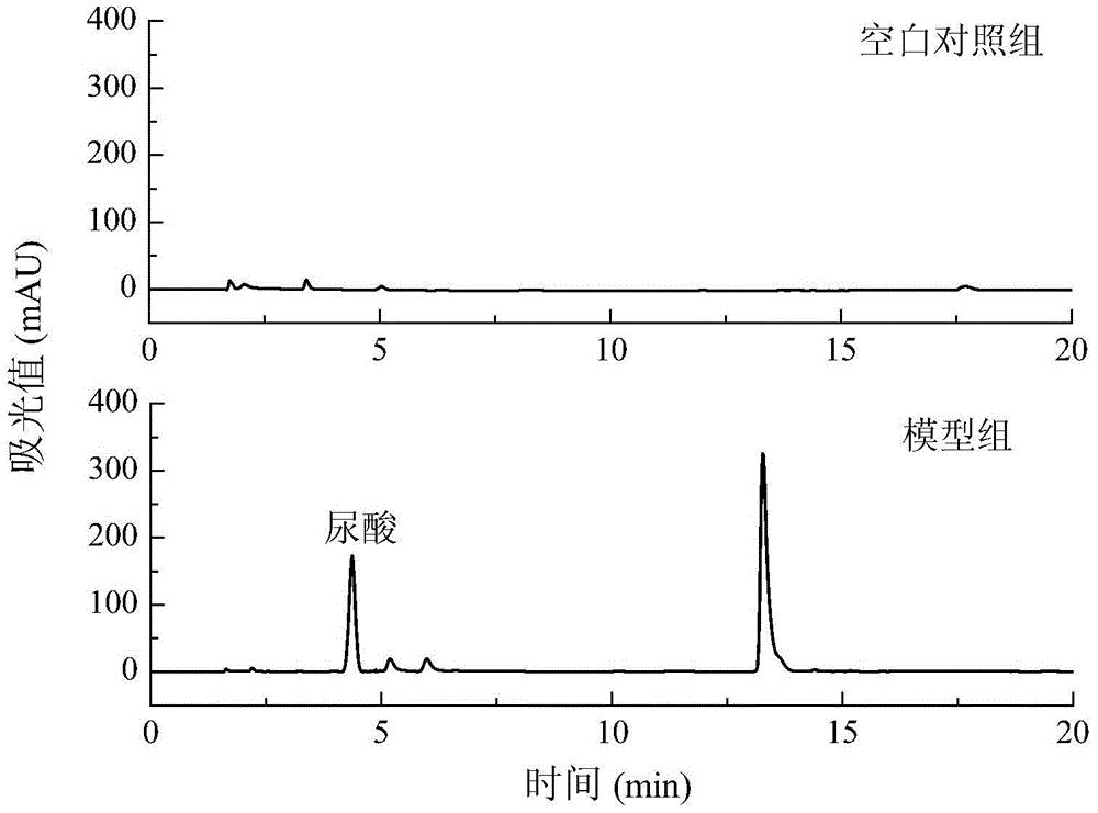 一种高尿酸血症肝细胞模型及其构建方法