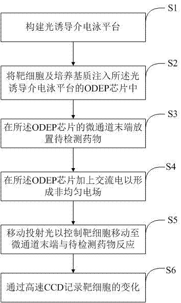 一种基于介电泳力场的药效检测方法及其系统