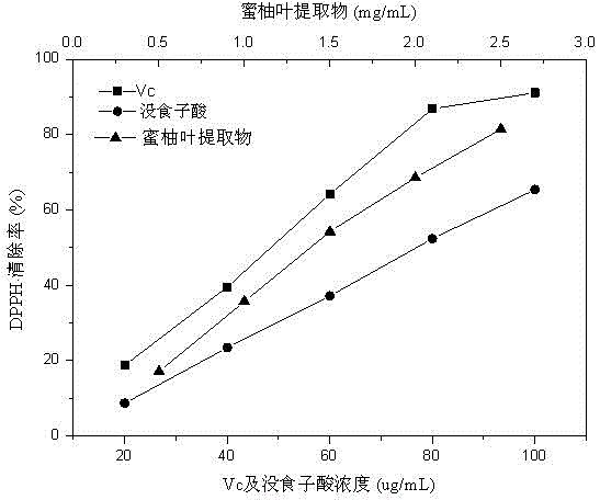 一种蜜柚叶提取物及其制备方法与应用