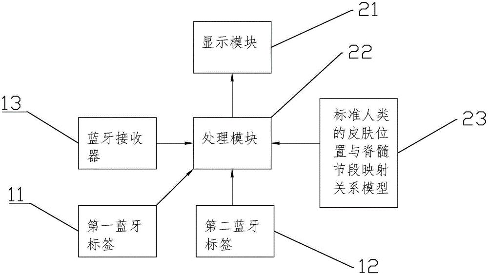 一种皮肤区域与脊髓节段匹配系统