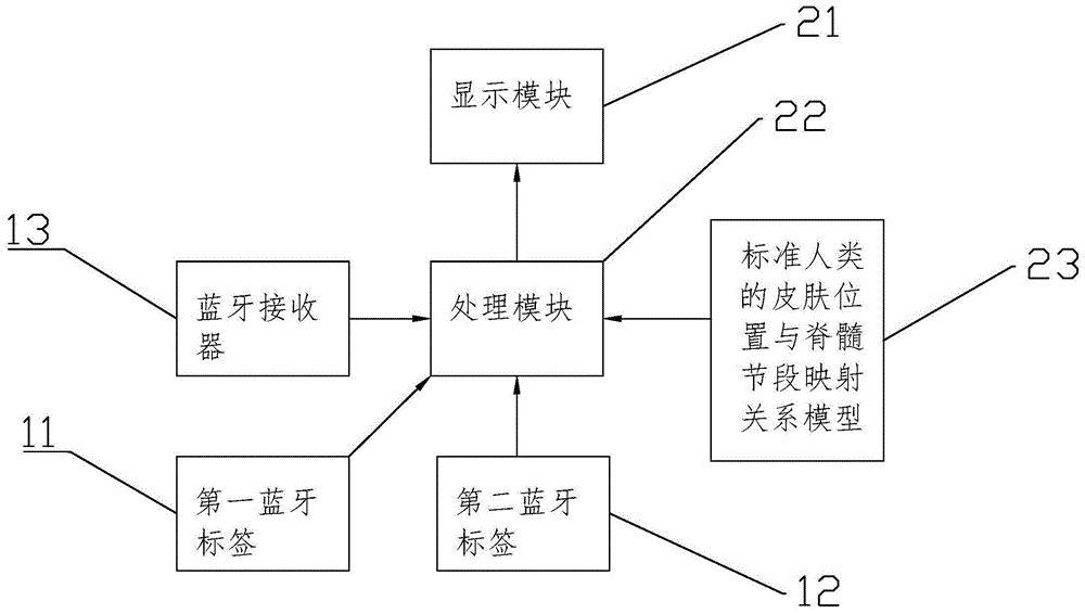 一种皮肤区域与脊髓节段匹配系统