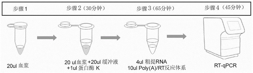 一种直接定量检测循环miRNA的RT-qPCR方法